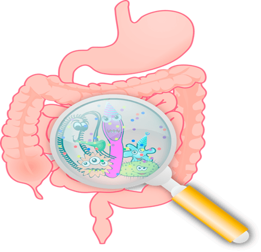 An illustration of the digestive tract with a magnifying glass revealing cartoon gut microbes.