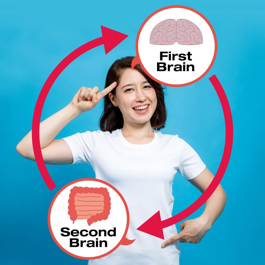 An illustration of the gut–brain axis: a person pointing at their head and stomach, labelled first brain and second brain, joined by arrows in both directions.
